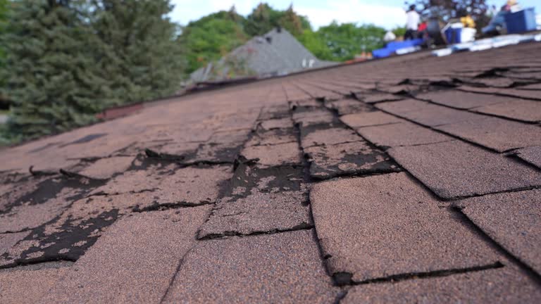 Best Roof Installation  in Benton, TN