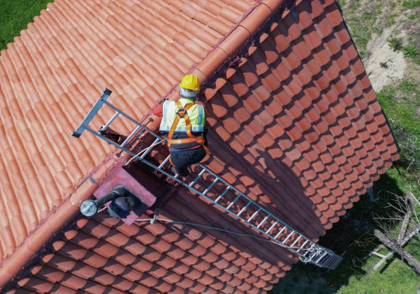 Best Asphalt Shingle Roofing  in Benton, TN